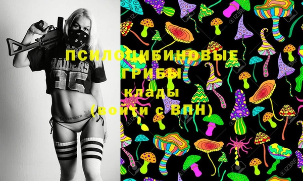 apvp Баксан