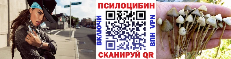 где купить наркоту  блэк спрут вход  Псилоцибиновые грибы мицелий  даркнет официальный сайт  Кушва 
